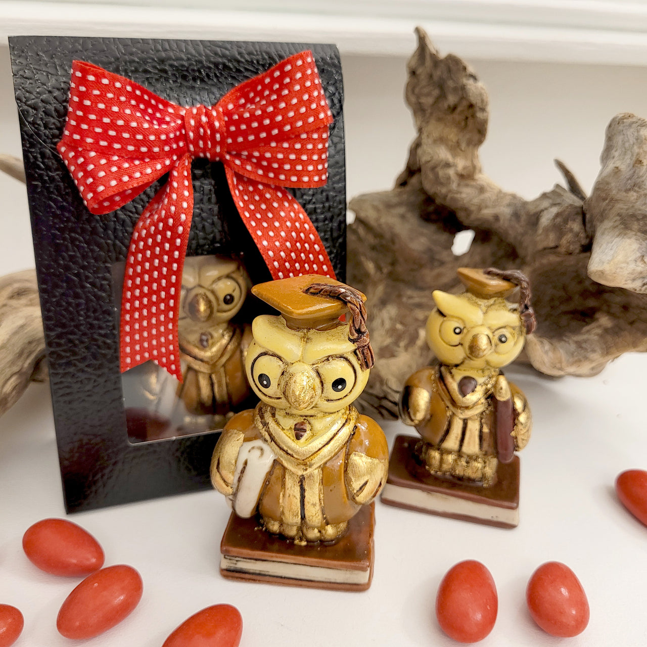 Bomboniera Laurea gufetti laureati con busta pelle nera