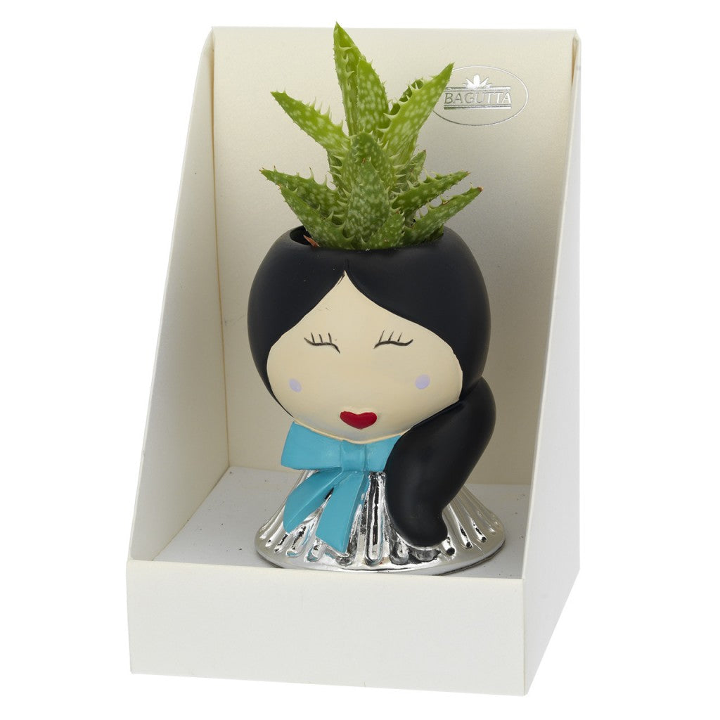 Portavaso Belle Epoque, base argentata e piantina grassa