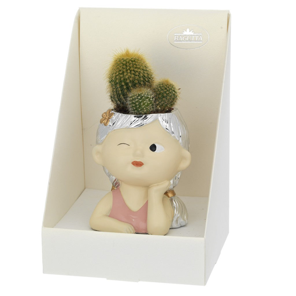 Portavaso faccina con occhiolino, capelli argentati e piantina grassa