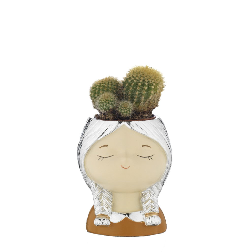 Portavaso faccina con treccine argentate e piantina grassa