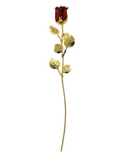 rosa-bagutta-dorata-rossa-30cm